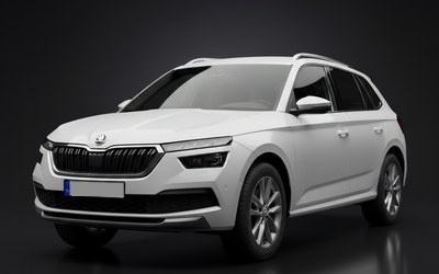 Чип-тюнинг Skoda Kamiq в Ереване