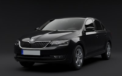 Чип-тюнинг Skoda Rapid в Ереване